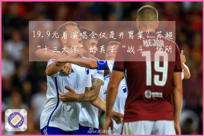 19.9元看演唱会仅是开胃菜？苏超“十三太保”的真正“战斗”场所在旅游景点