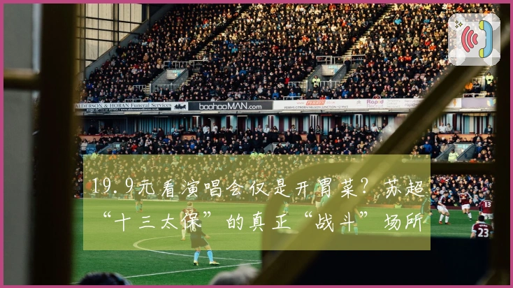 19.9元看演唱会仅是开胃菜？苏超“十三太保”的真正“战斗”场所在旅游景点